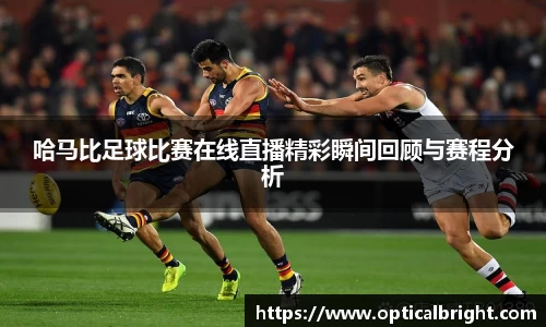 球速体育官网入口