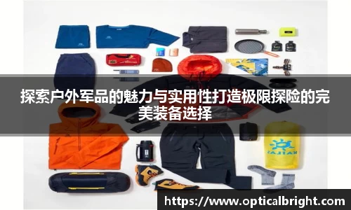 球速体育官网入口