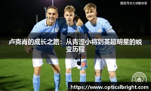 球速体育官网入口