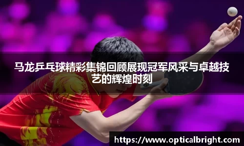 球速体育官网版