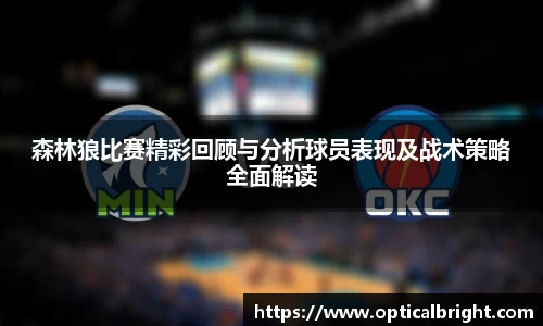 球速体育官网版