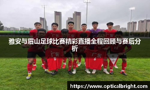 球速体育官网版